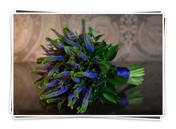 Eden Events Reviews Eden Events Review